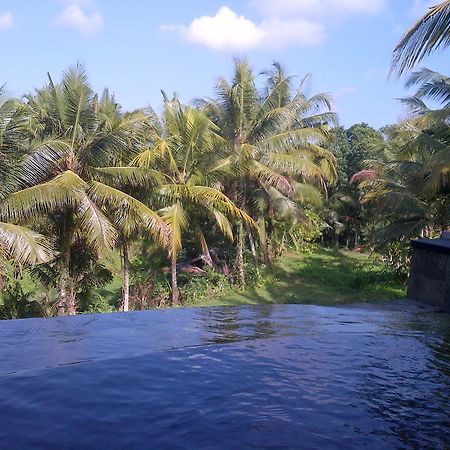 Dewa House Bisma Otel Ubud Dış mekan fotoğraf
