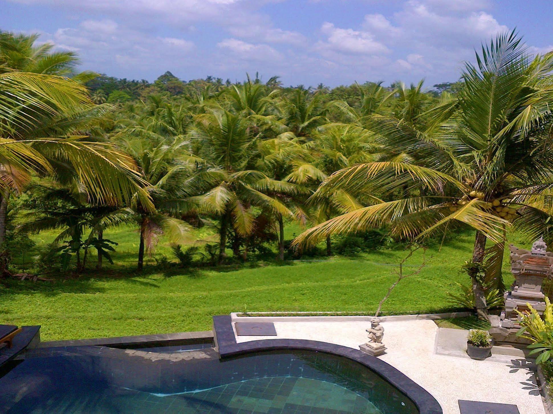Dewa House Bisma Otel Ubud Dış mekan fotoğraf